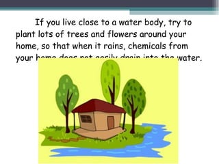 If you live close to a water body, try to
plant lots of trees and flowers around your
home, so that when it rains, chemicals from
your home does not easily drain into the water.
 
