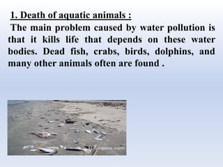 1. Death of aquatic animals :
The main problem caused by water pollution is
that it kills life that depends on these water
bodies. Dead fish, crabs, birds, dolphins, and
many other animals often are found .
 