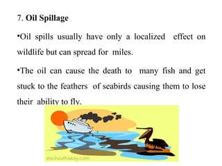 7. Oil Spillage
•Oil spills usually have only a localized effect on
wildlife but can spread for miles.
•The oil can cause the death to many fish and get
stuck to the feathers of seabirds causing them to lose
their ability to fly.
 