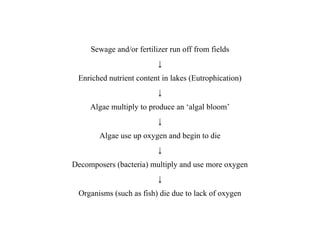Sewage and/or fertilizer run off from fields
↓
Enriched nutrient content in lakes (Eutrophication)
↓
Algae multiply to produce an ‘algal bloom’
↓
Algae use up oxygen and begin to die
↓
Decomposers (bacteria) multiply and use more oxygen
↓
Organisms (such as fish) die due to lack of oxygen
 