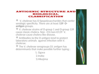 ANTIGENIC STRUCTURE AND
BIOLOGICAL
CLASSIFICATION
 V. cholerae has O lipopolysaccharides that confer
serologic specificity. There are at least 139 O-
antigen groups.
 V. cholerae strains of O-group 1 and O-group 139
cause classic cholera. Non –O1/non-O139 V.
cholerae cause cholera like disease.
 Antibodies to the O-antigen tend to protect
laboratory animals against infection with V.
cholerae.
 The V. cholerae serogroups O1 antigen has
determinants that make possible further typing :
1. Ogava
2.Inaba
3.Hikojima
 