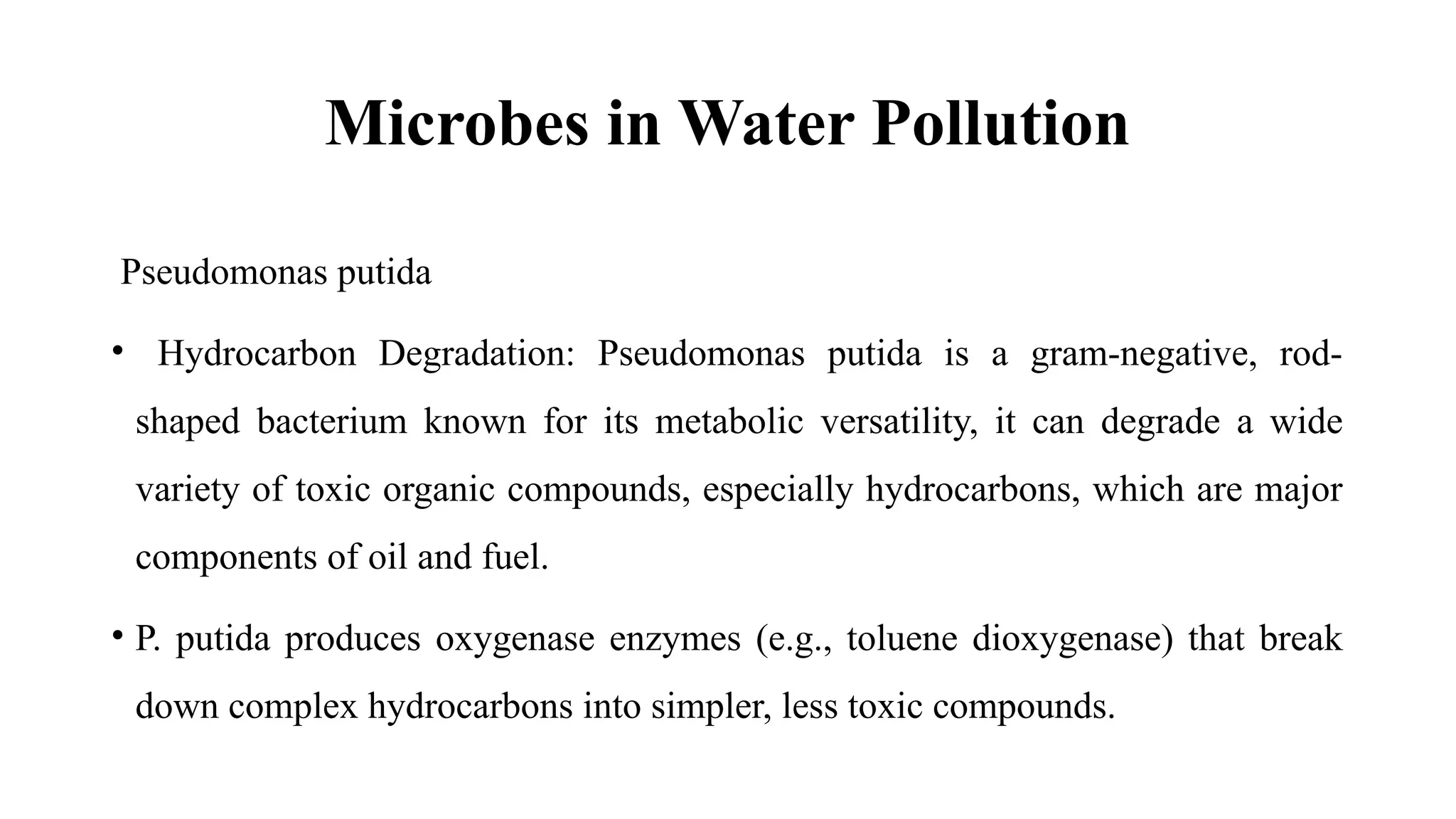 Microbes in Water Pollution
Pseudomonas putida
• Hydrocarbon Degradation: Pseudomonas putida is a gram-negative, rod-
shaped bacterium known for its metabolic versatility, it can degrade a wide
variety of toxic organic compounds, especially hydrocarbons, which are major
components of oil and fuel.
• P. putida produces oxygenase enzymes (e.g., toluene dioxygenase) that break
down complex hydrocarbons into simpler, less toxic compounds.
 