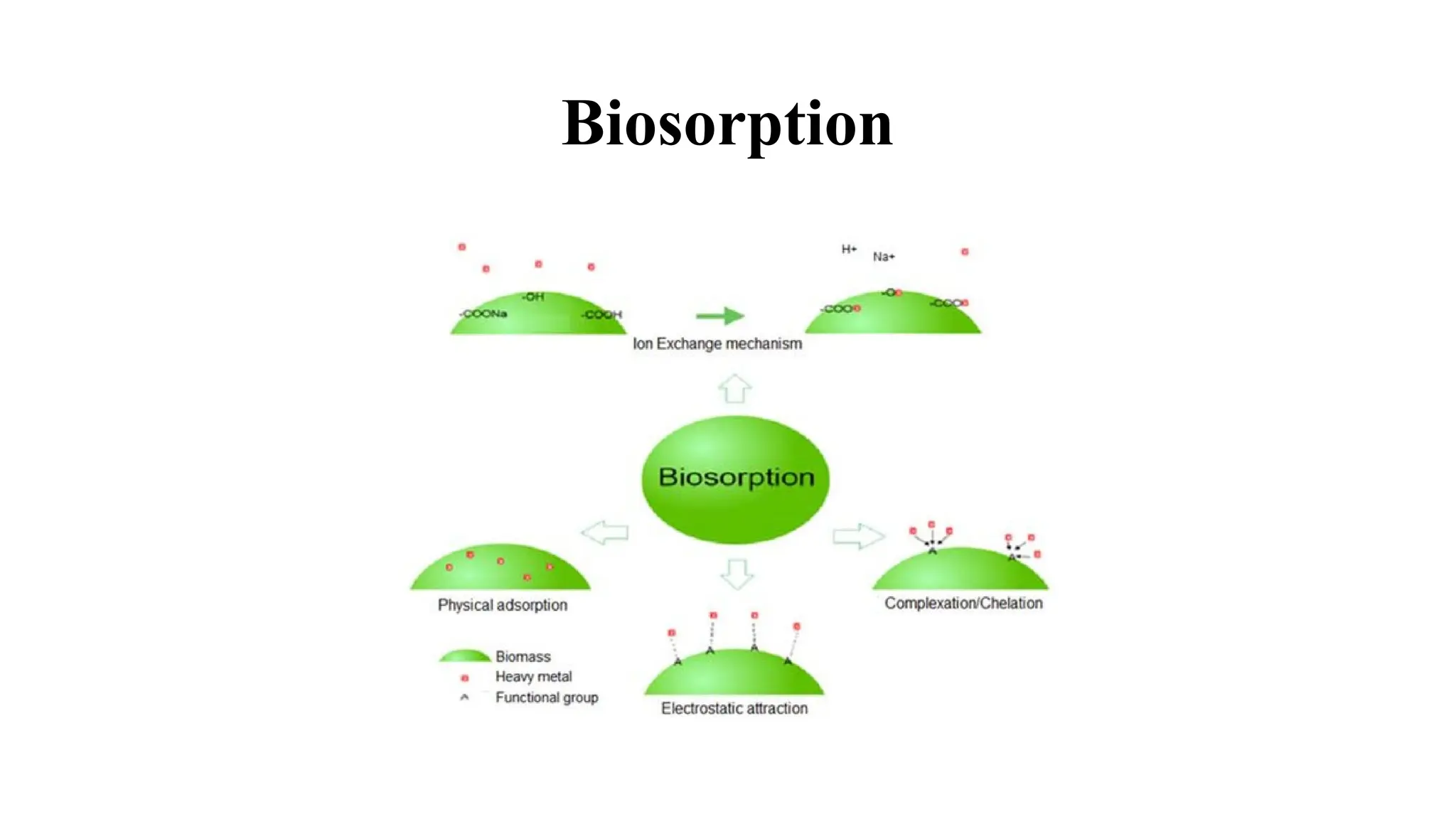 Biosorption
 
