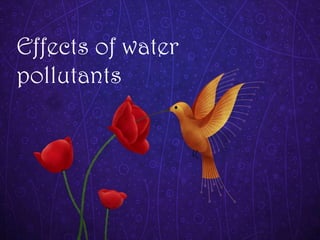 Effects of water
pollutants
 