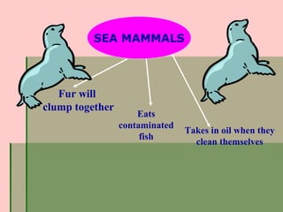Water pollution p6 elearning 2013 (haze) | PPT