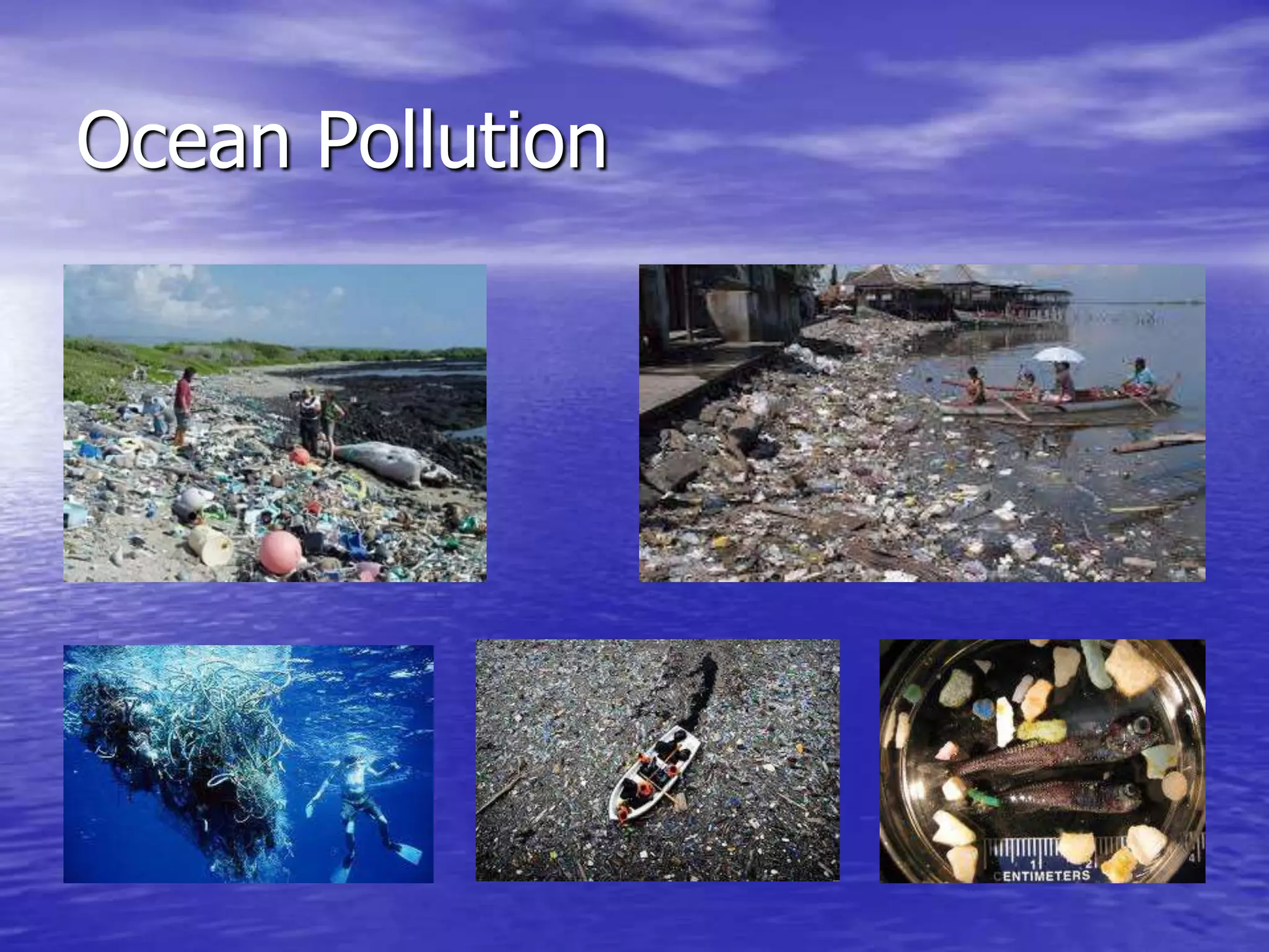 Ocean Pollution
 