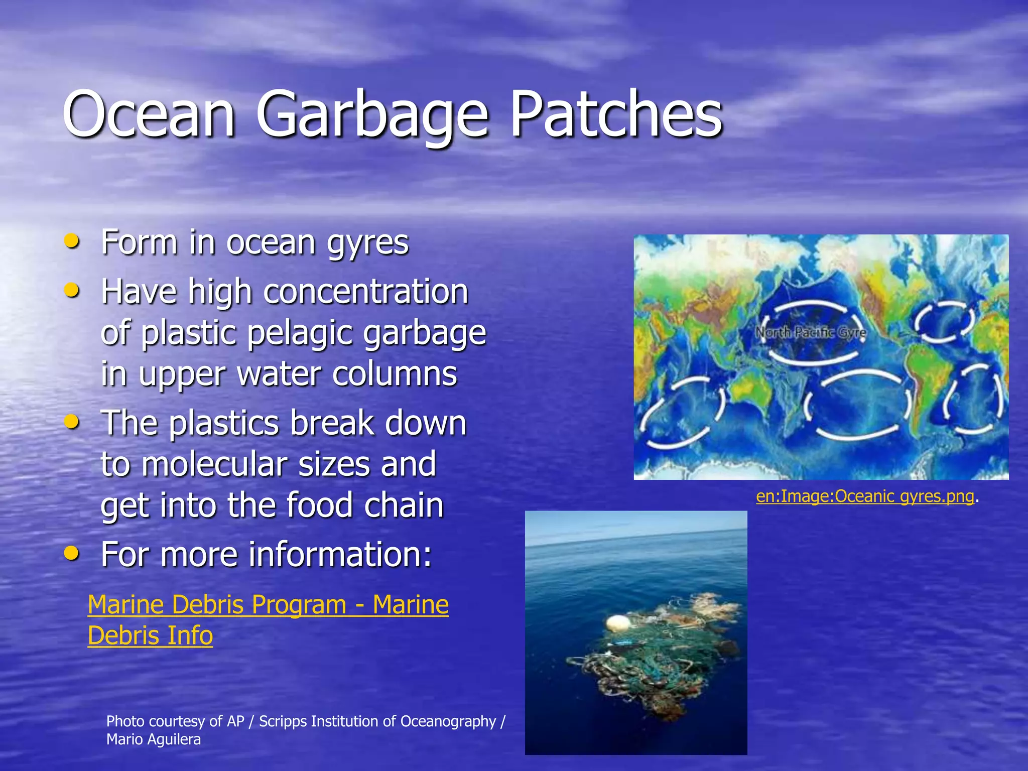 Ocean Garbage Patches
• Form in ocean gyres
• Have high concentration
of plastic pelagic garbage
in upper water columns
• The plastics break down
to molecular sizes and
get into the food chain
• For more information:
Photo courtesy of AP / Scripps Institution of Oceanography /
Mario Aguilera
en:Image:Oceanic gyres.png.
Marine Debris Program - Marine
Debris Info
 