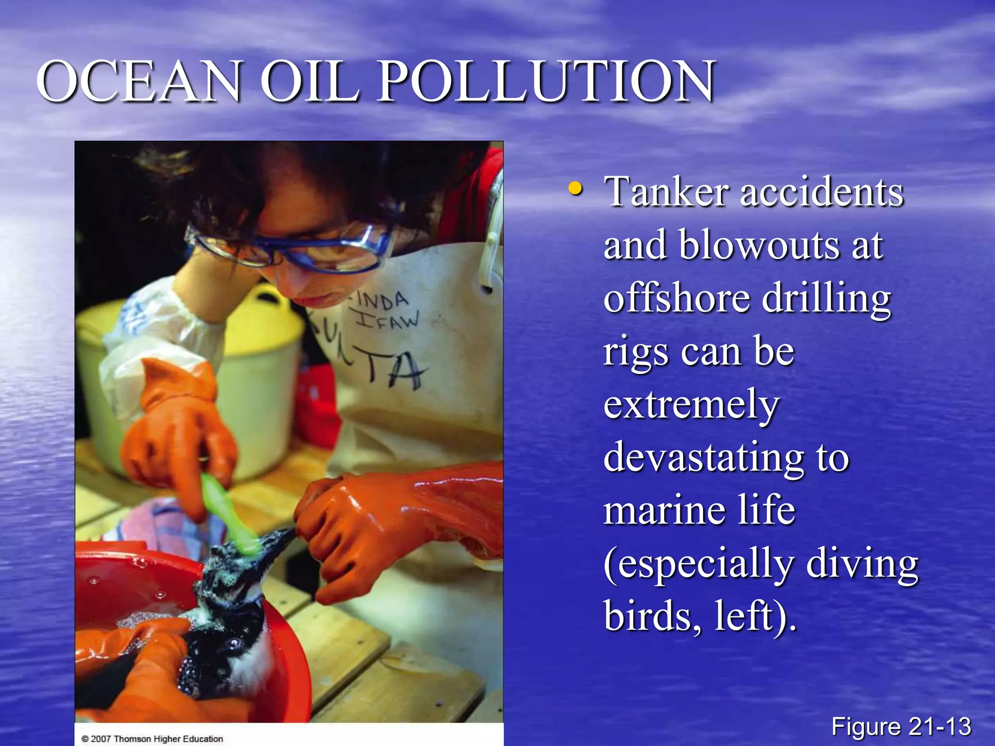 OCEAN OIL POLLUTION
• Tanker accidents
and blowouts at
offshore drilling
rigs can be
extremely
devastating to
marine life
(especially diving
birds, left).
Figure 21-13
 