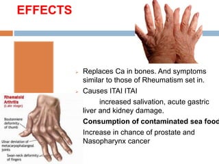 EFFECTS
 Replaces Ca in bones. And symptoms
similar to those of Rheumatism set in.
 Causes ITAI ITAI
increased salivation, acute gastric
liver and kidney damage.
 Consumption of contaminated sea food
 Increase in chance of prostate and
Nasopharynx cancer
 