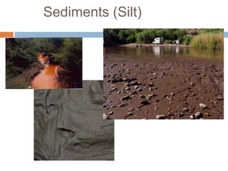 Sediments (Silt)
 