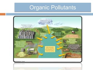 Organic Pollutants
 