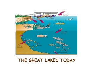 THE GREAT LAKES TODAY
 