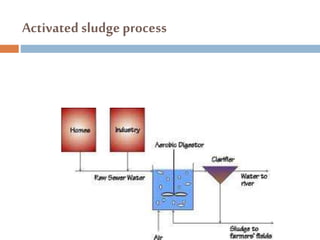 Activated sludge process
 