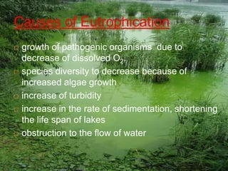 Causes of Eutrophication
 growth of pathogenic organisms due to
decrease of dissolved O2.
 species diversity to decrease because of
increased algae growth
 increase of turbidity
 increase in the rate of sedimentation, shortening
the life span of lakes
 obstruction to the flow of water
 