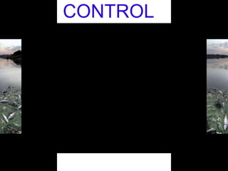 CONTROL
 