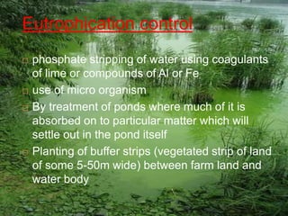 Eutrophication control
 phosphate stripping of water using coagulants
of lime or compounds of Al or Fe
 use of micro organism
 By treatment of ponds where much of it is
absorbed on to particular matter which will
settle out in the pond itself
 Planting of buffer strips (vegetated strip of land
of some 5-50m wide) between farm land and
water body
 