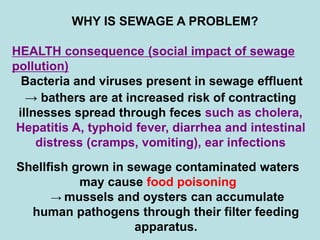 WHY IS SEWAGE A PROBLEM?
HEALTH consequence (social impact of sewage
pollution)
Bacteria and viruses present in sewage effluent
→ bathers are at increased risk of contracting
illnesses spread through feces such as cholera,
Hepatitis A, typhoid fever, diarrhea and intestinal
distress (cramps, vomiting), ear infections
Shellfish grown in sewage contaminated waters
may cause food poisoning
→ mussels and oysters can accumulate
human pathogens through their filter feeding
apparatus.
 
