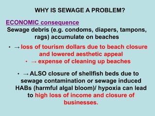 WHY IS SEWAGE A PROBLEM?
ECONOMIC consequence
Sewage debris (e.g. condoms, diapers, tampons,
rags) accumulate on beaches
• → loss of tourism dollars due to beach closure
and lowered aesthetic appeal
• → expense of cleaning up beaches
• → ALSO closure of shellfish beds due to
sewage contamination or sewage induced
HABs (harmful algal bloom)/ hypoxia can lead
to high loss of income and closure of
businesses.
 