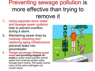 Preventing sewage pollution is
more effective than trying to
remove it
1. Using separate storm water
and sewage sewer systems
help to prevent overflow
during a storm.
2. Maintaining sewer lines by
routinely checking and
replacing aging infrastructure
prevents leaks into
groundwater
3. Though not sewage, Picking up pet
waste and providing baggies for
waste in public areas prevent animal
waste from entering surface water
through storm drains. Pet waste carries
many of the same pathogens as
human feces
 