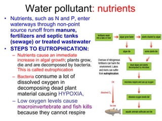 Water pollutant: nutrients
• Nutrients, such as N and P, enter
waterways through non-point
source runoff from manure,
fertilizers and septic tanks
(sewage) or treated wastewater
• STEPS TO EUTROPHICATION:
– Nutrients cause an immediate
increase in algal growth; plants grow,
die and are decomposed by bacteria.
This is called eutrophication
– Bacteria consume a lot of
dissolved oxygen in
decomposing dead plant
material causing HYPOXIA,
– Low oxygen levels cause
macroinvertebrate and fish kills
because they cannot respire
 