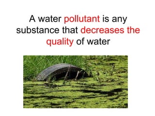 A water pollutant is any
substance that decreases the
quality of water
 
