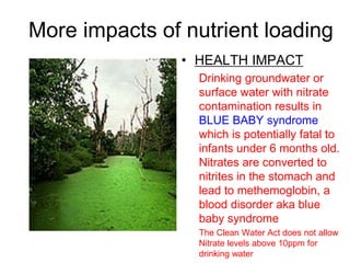 More impacts of nutrient loading
• HEALTH IMPACT
Drinking groundwater or
surface water with nitrate
contamination results in
BLUE BABY syndrome
which is potentially fatal to
infants under 6 months old.
Nitrates are converted to
nitrites in the stomach and
lead to methemoglobin, a
blood disorder aka blue
baby syndrome
The Clean Water Act does not allow
Nitrate levels above 10ppm for
drinking water
 
