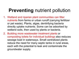 Preventing nutrient pollution
1. Wetland and riparian plant communities can filter
nutrients from farms or urban runoff (carrying fertilizer
or pet waste). Plants, algae, denitrifying bacteria
directly uptake nutrients. Some can be adsorbed by
wetland soils, then used by plants or bacteria.
2. Building more wastewater treatment plants or
composting toilets for individual buildings also reduces
sewage load in waterways. Small centralized plants
reduce the need for many septic tanks in rural areas,
each with the potential to leak and contaminate the
groundwater supply.
 