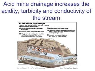 Acid mine drainage increases the
acidity, turbidity and conductivity of
the stream
 