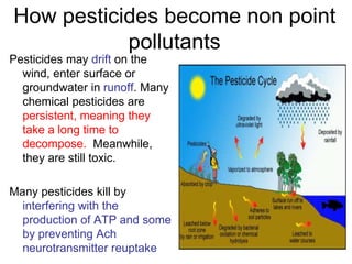 How pesticides become non point
pollutants
Pesticides may drift on the
wind, enter surface or
groundwater in runoff. Many
chemical pesticides are
persistent, meaning they
take a long time to
decompose. Meanwhile,
they are still toxic.
Many pesticides kill by
interfering with the
production of ATP and some
by preventing Ach
neurotransmitter reuptake
 