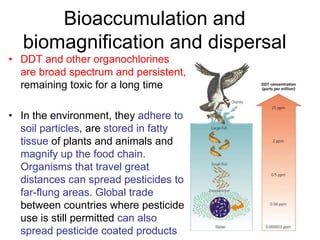 Bioaccumulation and
biomagnification and dispersal
• DDT and other organochlorines
are broad spectrum and persistent,
remaining toxic for a long time
• In the environment, they adhere to
soil particles, are stored in fatty
tissue of plants and animals and
magnify up the food chain.
Organisms that travel great
distances can spread pesticides to
far-flung areas. Global trade
between countries where pesticide
use is still permitted can also
spread pesticide coated products
 