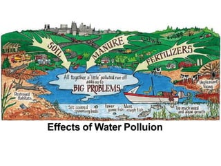 8
Effects of Water Polluion
 