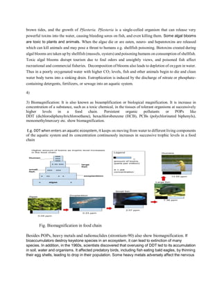 brown tides, and the growth of Pfiesteria. Pfiesteria is a single-celled organism that can release very
powerful toxins into the water, causing bleeding sores on fish, and even killing them. Some algal blooms
are toxic to plants and animals. When the algae die or are eaten, neuro- and hepatotoxins are released
which can kill animals and may pose a threat to humans e.g. shellfish poisoning. Biotoxins created during
algal blooms are taken up by shellfish (mussels, oysters) and poisoning humans on consumption of shellfish.
Toxic algal blooms disrupt tourism due to foul odors and unsightly views, and poisoned fish affect
recreational and commercial fisheries. Decomposition of blooms also leads to depletion of oxygen in water.
Thus in a poorly oxygenated water with higher CO2 levels, fish and other animals begin to die and clean
water body turns into a sinking drain. Eutrophication is induced by the discharge of nitrate or phosphate-
containing detergents, fertilizers, or sewage into an aquatic system.
4)
3) Biomagnification: It is also known as bioamplification or biological magnification. It is increase in
concentration of a substance, such as a toxic chemical, in the tissues of tolerant organisms at successively
higher levels in a food chain. Persistent organic pollutants or POPs like
DDT (dichlorodiphenyltrichloroethane), hexachlorobenzene (HCB), PCBs (polychlorinated biphenyls),
monomethylmercury etc. show biomagnification.
E.g. DDT when enters an aquatic ecosystem, it keeps on moving from water to different living components
of the aquatic system and its concentration continuously increases in successive trophic levels in a food
chain
Fig. Biomagnification in food chain
Besides POPs, heavy metals and radionuclides (strontium-90) also show biomagnification. If
bioaccumulators destroy keystone species in an ecosystem, it can lead to extinction of many
species. In addition, in the 1960s, scientists discovered that overusing of DDT led to its accumulation
in soil, water and organisms. It affected predatory birds, including fish eating bald eagles, by thinning
their egg shells, leading to drop in their population. Some heavy metals adversely affect the nervous
 