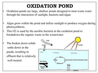 OXIDATION POND
• Oxidation ponds are large, shallow ponds designed to treat waste water
through the interaction of sunlight, bacteria and algae.
• Algae grow within the pond and utilize sunlight to produce oxygen during
photosynthesis.
• This O2 is used by the aerobic bacteria in the oxidation pond to
breakdown the organic waste in the wastewater.
• The broken down solids
settle down in the
ponds, resulting in
effluent that is relatively
well treated.
 