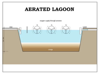 AERATED LAGOON
 