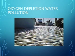 water pollution effects on animals and plants