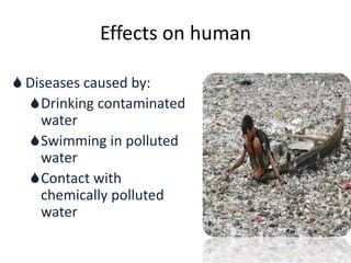 Effects on human
 Diseases caused by:
Drinking contaminated
water
Swimming in polluted
water
Contact with
chemically polluted
water
 