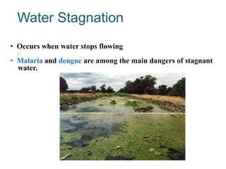 Water Stagnation
• Occurs when water stops flowing
• Malaria and dengue are among the main dangers of stagnant
water.

 