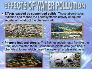 ●
Effects caused by suspended solidsEffects caused by suspended solids: These absorb solar: These absorb solar
radiation and reduce the photosynthetic activity of aquaticradiation and reduce the photosynthetic activity of aquatic
vegetation, obstruct the channels, etc.vegetation, obstruct the channels, etc.
●
Phenols induced effectsPhenols induced effects: T: The fish, especially fatty fish like thehe fish, especially fatty fish like the
trout, accumulated them. Chlorination plants also give rise totrout, accumulated them. Chlorination plants also give rise to
phenols chlorine, which gives the water an unpleasant taste.phenols chlorine, which gives the water an unpleasant taste.
 