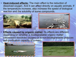 ●
Heat-induced effects:Heat-induced effects: The main effect is the reduction ofThe main effect is the reduction of
dissolved oxygen. And it can affect directly on aquatic animals. Ifdissolved oxygen. And it can affect directly on aquatic animals. If
the temperature increase, also increase the speed of biologicalthe temperature increase, also increase the speed of biological
reaction and the solubility of some compounds.reaction and the solubility of some compounds.
●
Effects caused by organic matter:Effects caused by organic matter: Its effects are differentIts effects are different
depending on whether is biodegradable organic matterdepending on whether is biodegradable organic matter
(decreased dissolved oxygen) or is non-biodegradable (reduces(decreased dissolved oxygen) or is non-biodegradable (reduces
self-purification capacity of a river).self-purification capacity of a river).
 