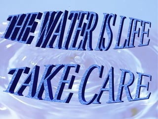 Water pollution andrea selena