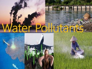Water Pollutants
 