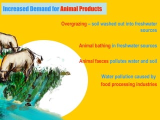 Overgrazing  – soil washed out into freshwater sources Animal bathing  in freshwater sources Animal faeces  pollutes water and soil Water pollution caused by  food processing industries Increased Demand for  Animal Products 