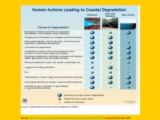 Source:  http://www.unep.org/dewa/assessments/ecosystems/water/vitalwater/38.htm  accessed December 2008 