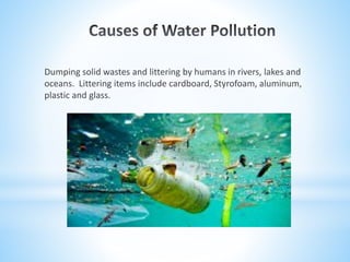 Dumping solid wastes and littering by humans in rivers, lakes and
oceans. Littering items include cardboard, Styrofoam, aluminum,
plastic and glass.
 