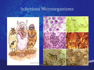 Infectious Microorganisms
 