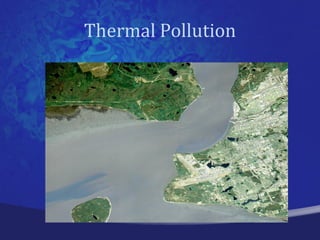 Thermal Pollution
 