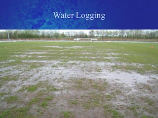 Water Logging
 