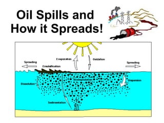 Oil Spills and  How it Spreads! 