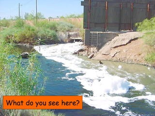 What do you see here? 