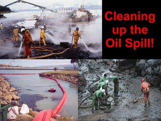 Cleaning up the Oil Spill! 